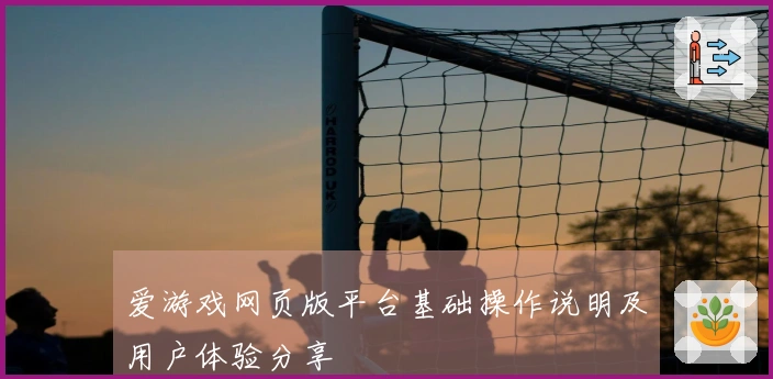 爱游戏网页版平台基础操作说明及用户体验分享